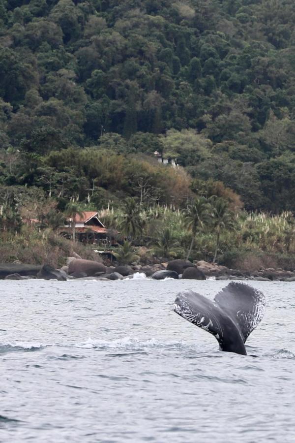 Sol-Lua Bangalo Com Uso Exclusivo Da Piscina Vila Ilhabela Exterior foto