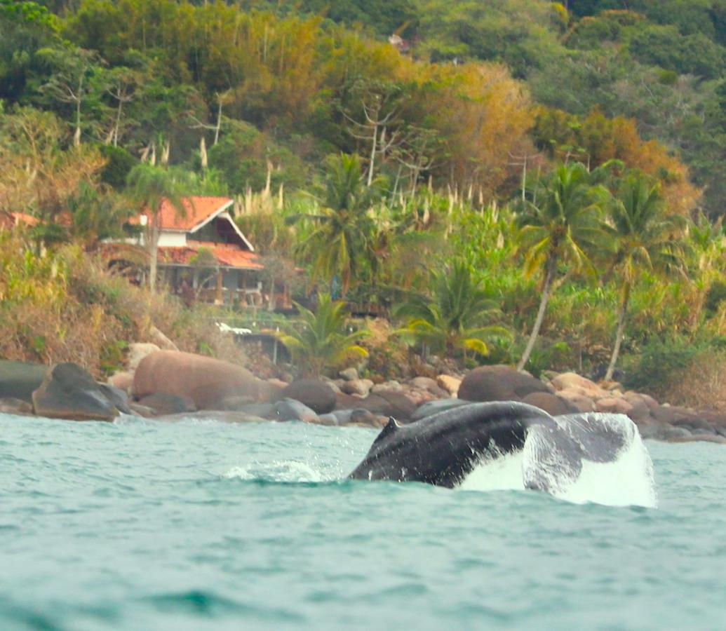 Sol-Lua Bangalo Com Uso Exclusivo Da Piscina Vila Ilhabela Exterior foto